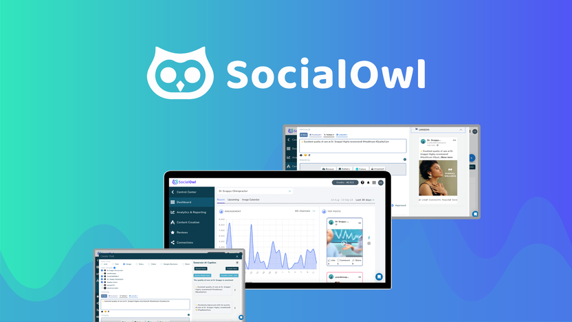 Socialowl Review