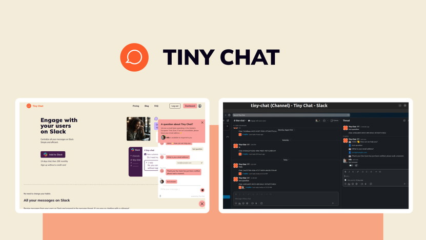 Tiny Chat Review